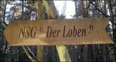 Weg zum Aussichtsturm im Naturpark "Der Loben"