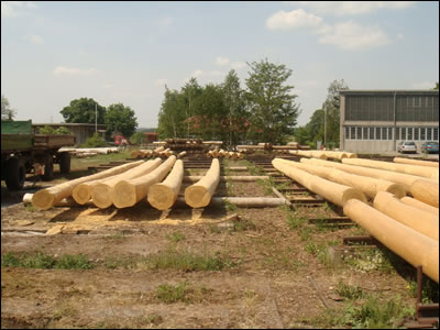 Neubau Kaminholzaufbereitungsanlage